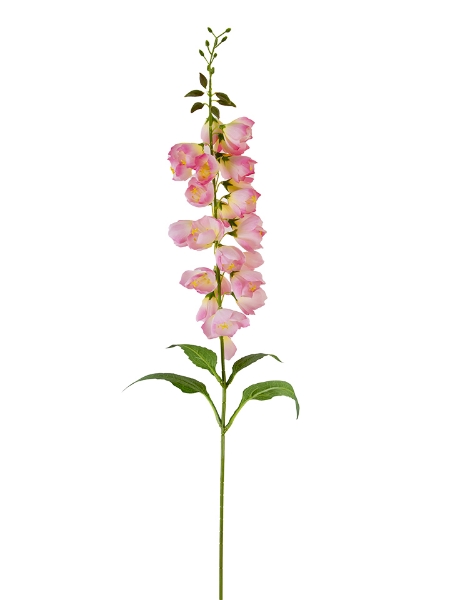 Picture of 38"CANTERBURY BELL SPRAY