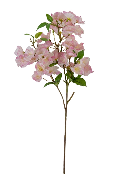 Picture of 26" CHERRY BLOSSOM SPRAY