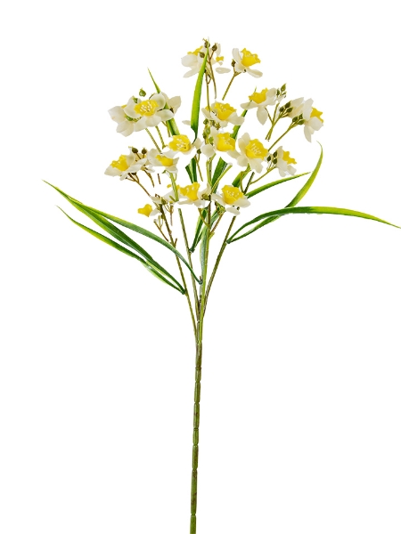 Picture of 31" DAFFODIL  SPRAY