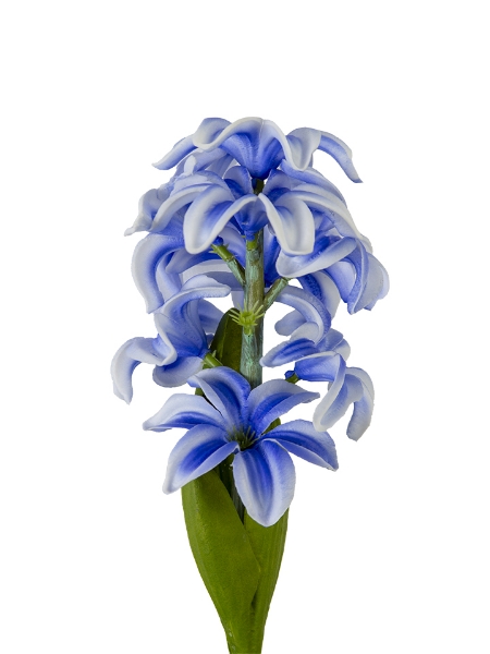 Picture of 12" HYACINTH SPRAY