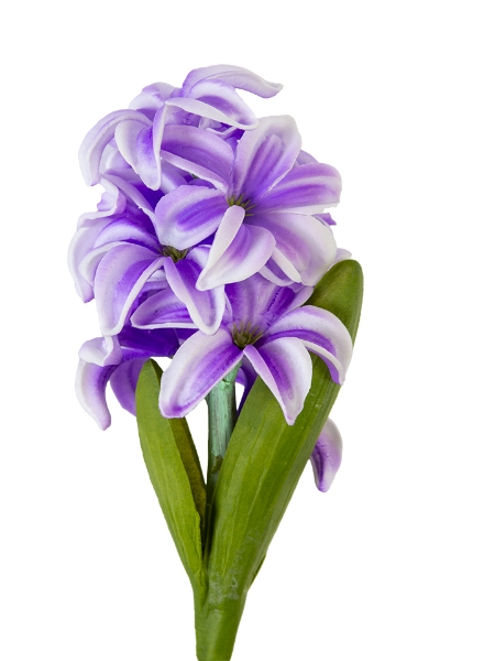 Picture of 12" HYACINTH SPRAY