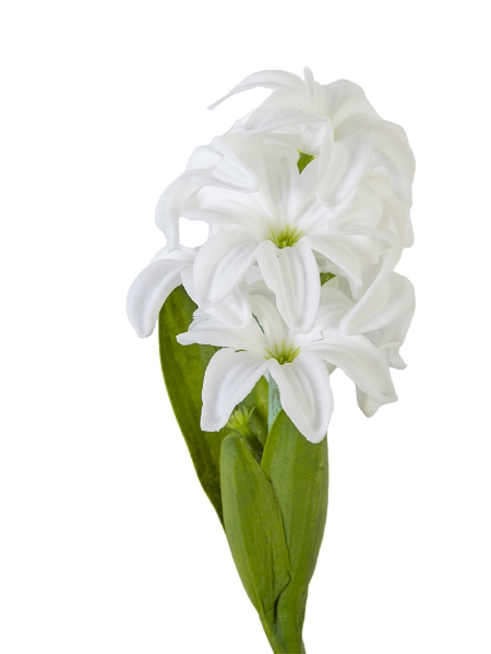 Picture of 12" HYACINTH SPRAY