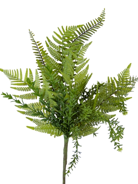 Picture of 24" MIXED FERN SPRAY