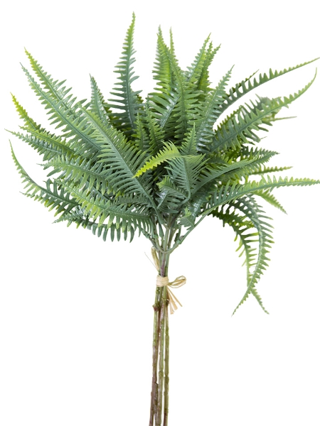 Picture of 18" FERN BUNDLE