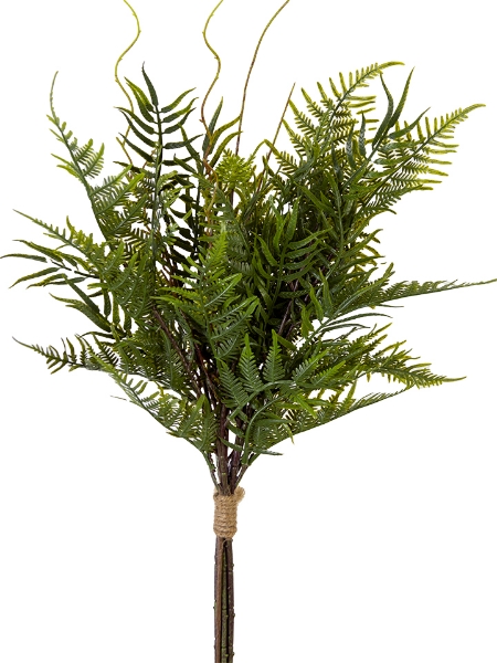 Picture of 25" FERN BUNDLE