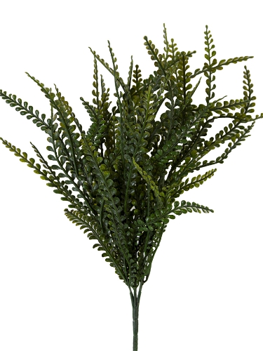 Picture of 18" BUTTON LEAF BUSH