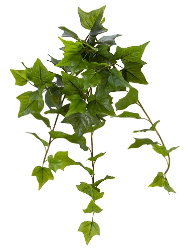 Picture of 28" UV PROTECTED IVY BUSH