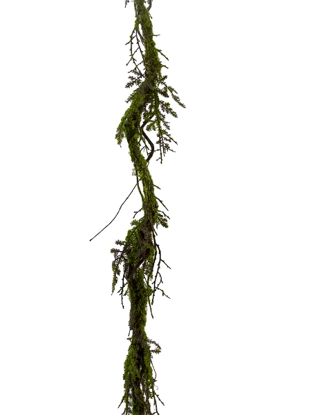 Picture of 68" MOSS TWIG VINE