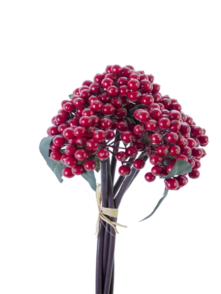 Picture for category Berries