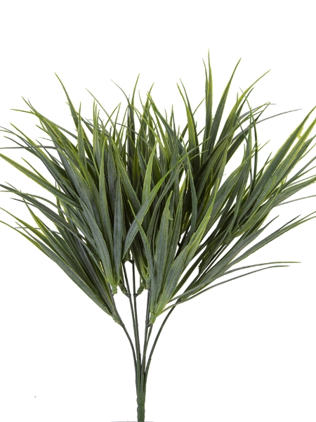 Picture for category Grass