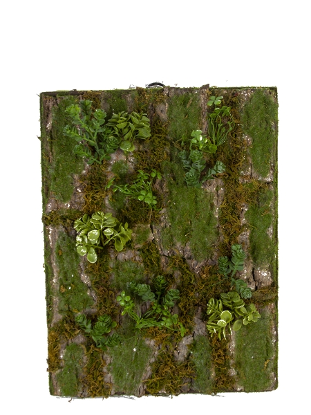 Picture for category Moss Products