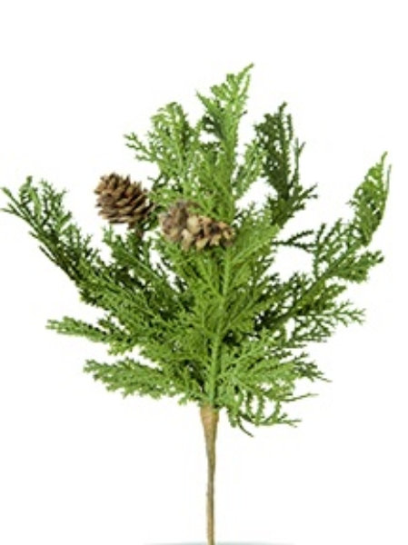 Picture for category Pine