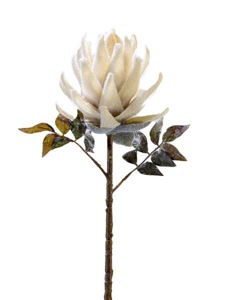 Picture of 21" PROTEA