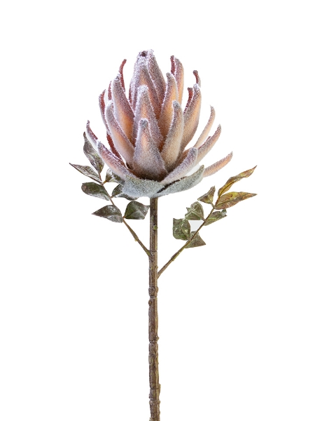 Picture of 21" PROTEA