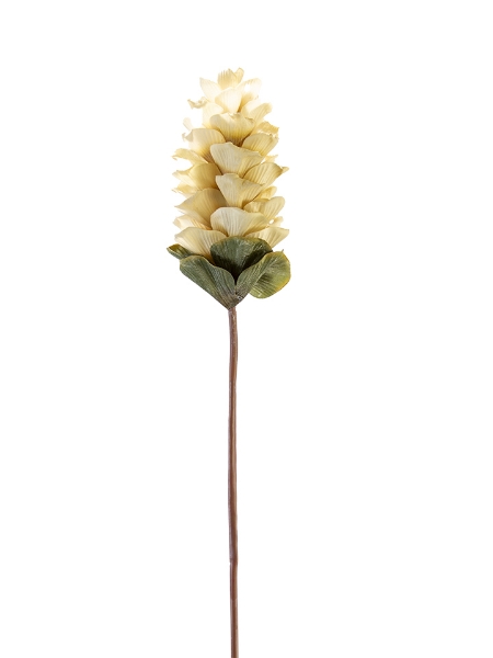 Picture of 32" GINGER FLOWER