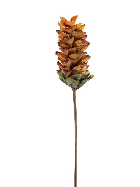 Picture of 32" GINGER FLOWER