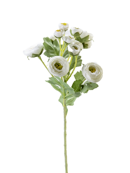 Picture of 21" RANUNCULUS SPRAY