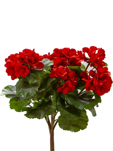 Picture of 17" UV PROTECTED GERANIUM BUSH