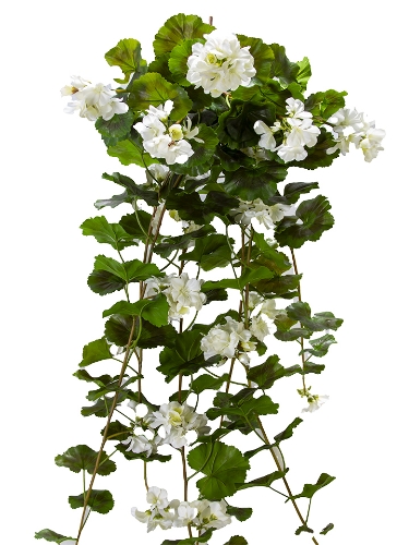 Picture of 50" UV PROTECTED GERANIUM BUSH