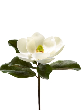 Picture of 19" UV PROTECTED MAGNOLIA STEM