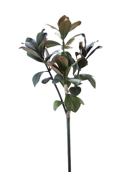 Picture of 32" MAGNOLIA LVS SPRAY