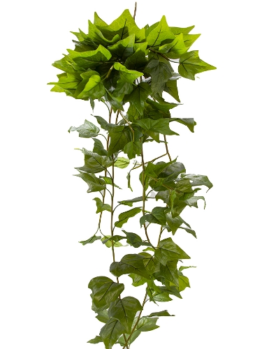 Picture of 58" UV PROTECTED IVY BUSH