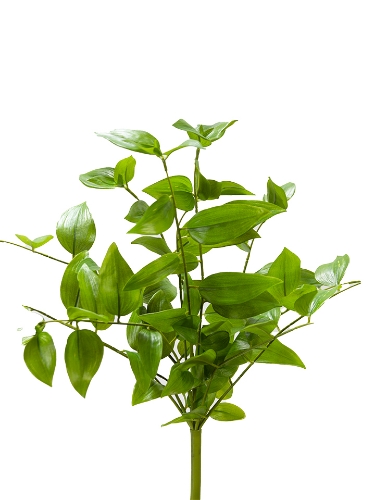 Picture of 19" UV PROTECTED PENDULA BUSH