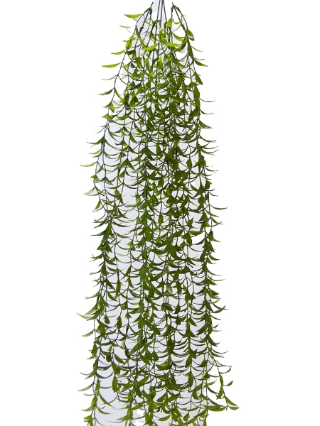 Picture of 36'' SAGE VINE