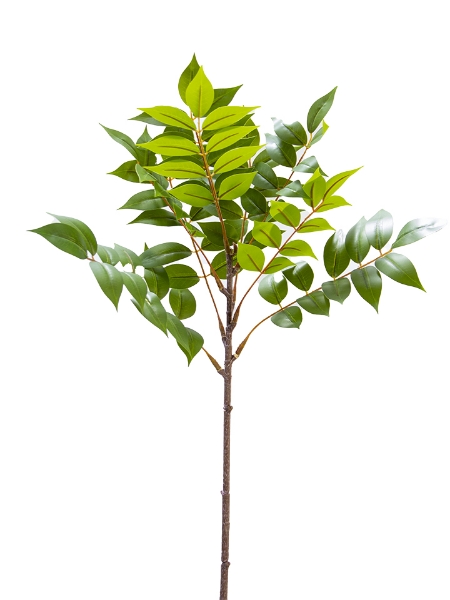 Picture of 29"LAUREL LEAF SPRAY