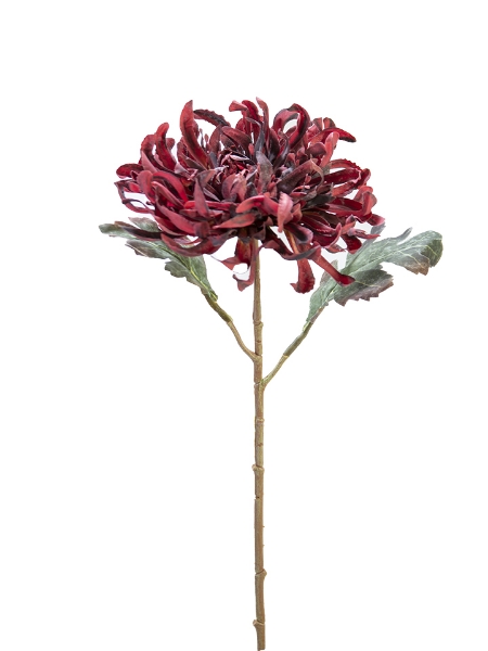 Picture of 21"CHRYSANTHEMUM STEM