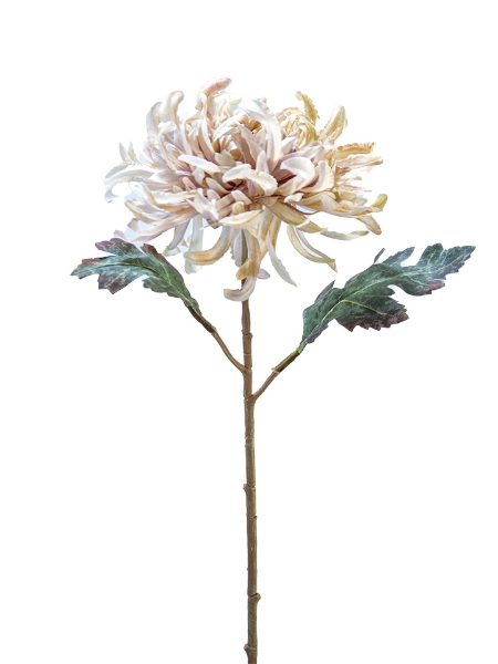 Picture of 21"CHRYSANTHEMUM STEM