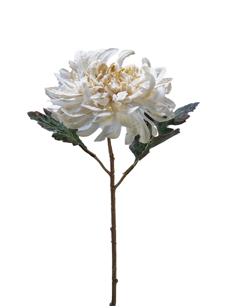 Picture of 21"CHRYSANTHEMUM STEM