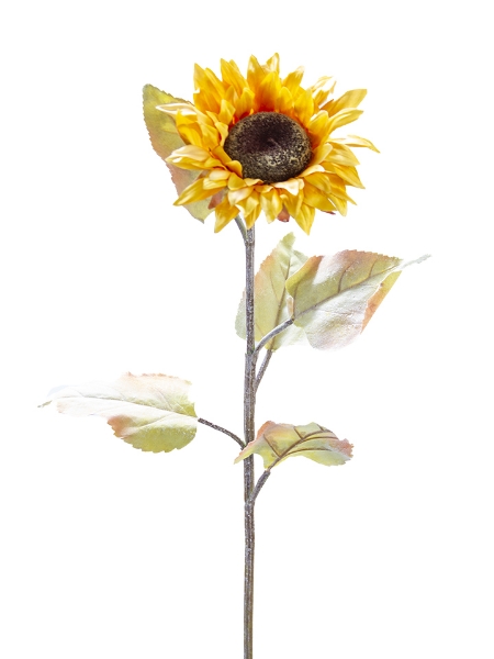 Picture of 30"SUNFLOWER STEM