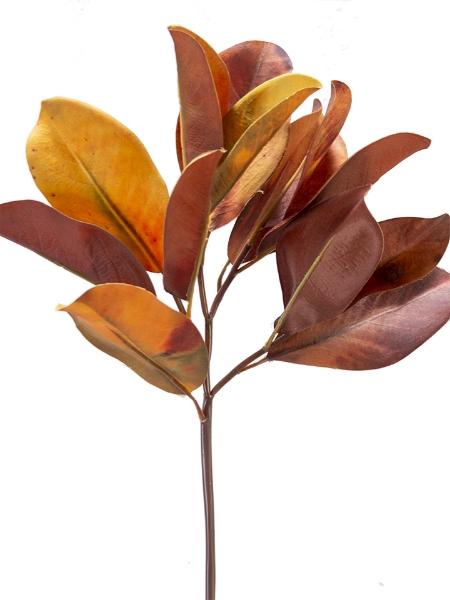 Picture of 20" FALL MAGNOLIA LEAF PICK