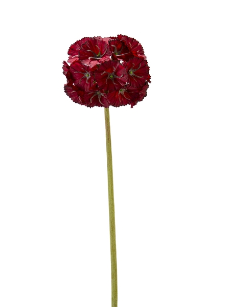 Picture of 23" SCABIOSA