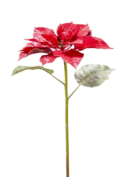 Picture of 23" GLITTERED POINSETTIA SPRAY