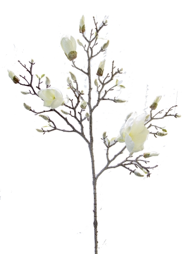 Picture of 38" FROSTED MAGNOLIA BRANCH