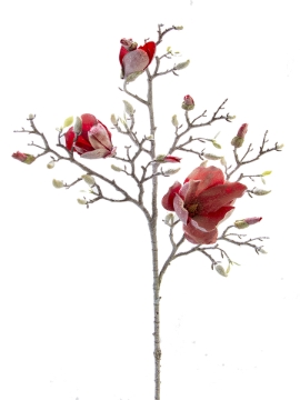 Picture of 38" FROSTED MAGNOLIA BRANCH