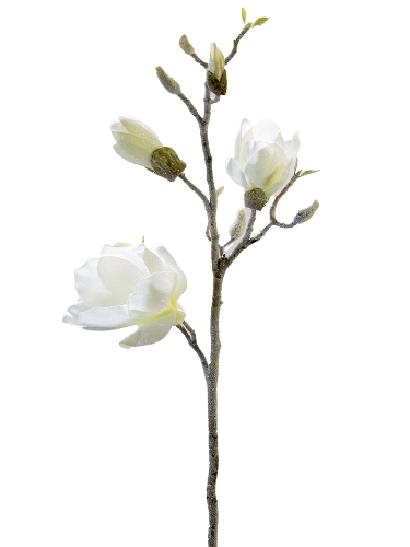 Picture of 32" FROSTED MAGNOLIA SPRAY