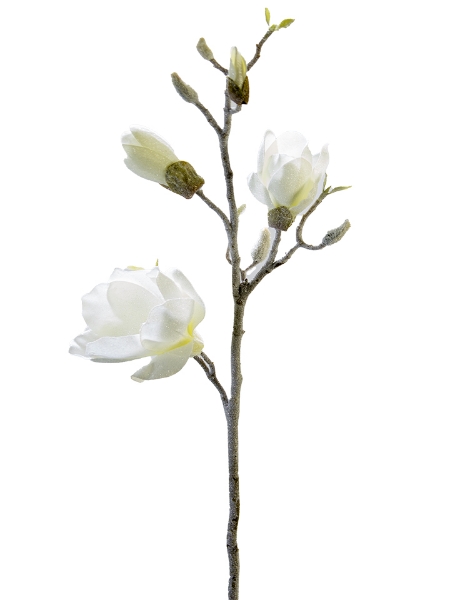 Picture of 32" MAGNOLIA SPRAY