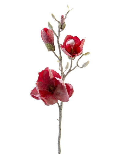 Picture of 32" FROSTED MAGNOLIA SPRAY