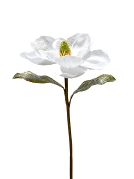 Picture of 22" GLITTERED MAGNOLIA SPRAY