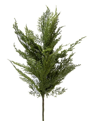 Picture of 24" CEDAR SPRAY
