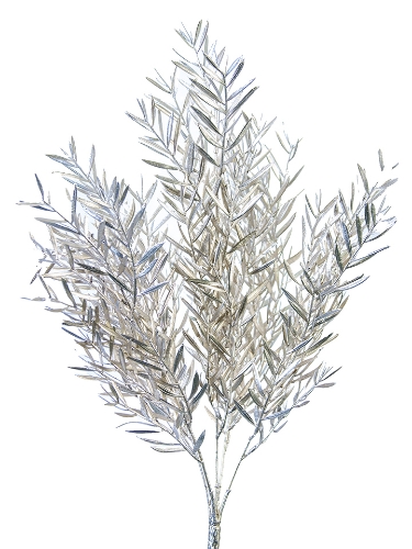 Picture of 21" SHINY WILLOW BUSH