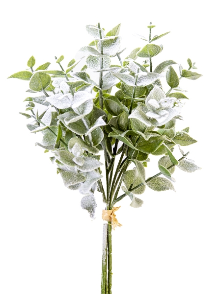 Picture of 17" EUCALYPTUS BUNDLE