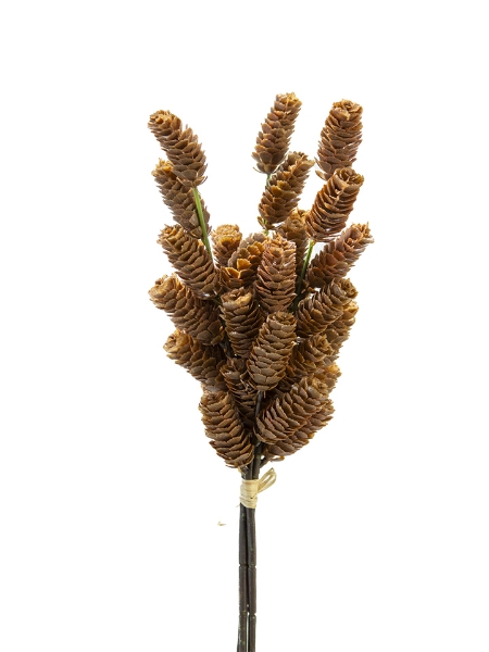 Picture of 19" PINECONE  BUNDLE