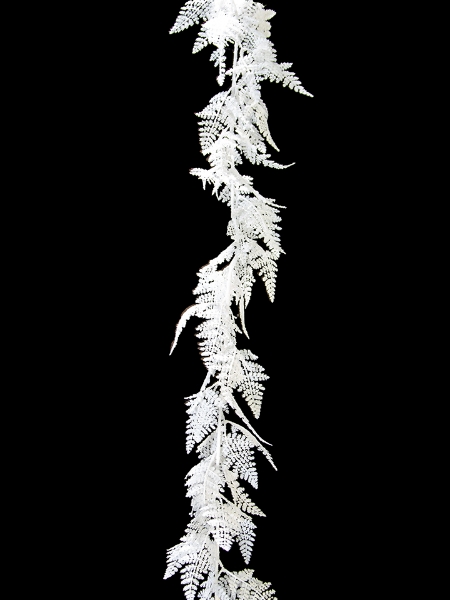 Picture of 6' SHINY FERN GARLAND