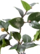 Picture of 27" CAMELLIA LEAF BRANCH W/BUD