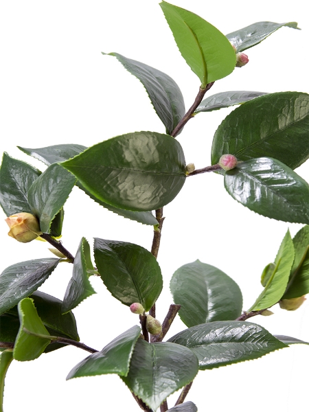 Picture of 27" CAMELLIA LEAF BRANCH W/BUD