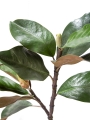 Picture of 32" MAGNOLIA LEAVES STEM